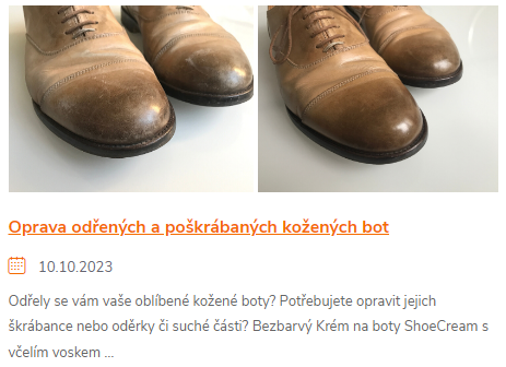 Oprava odřených a poškrábaných kožených bot, Shoe cream 100 trg the one